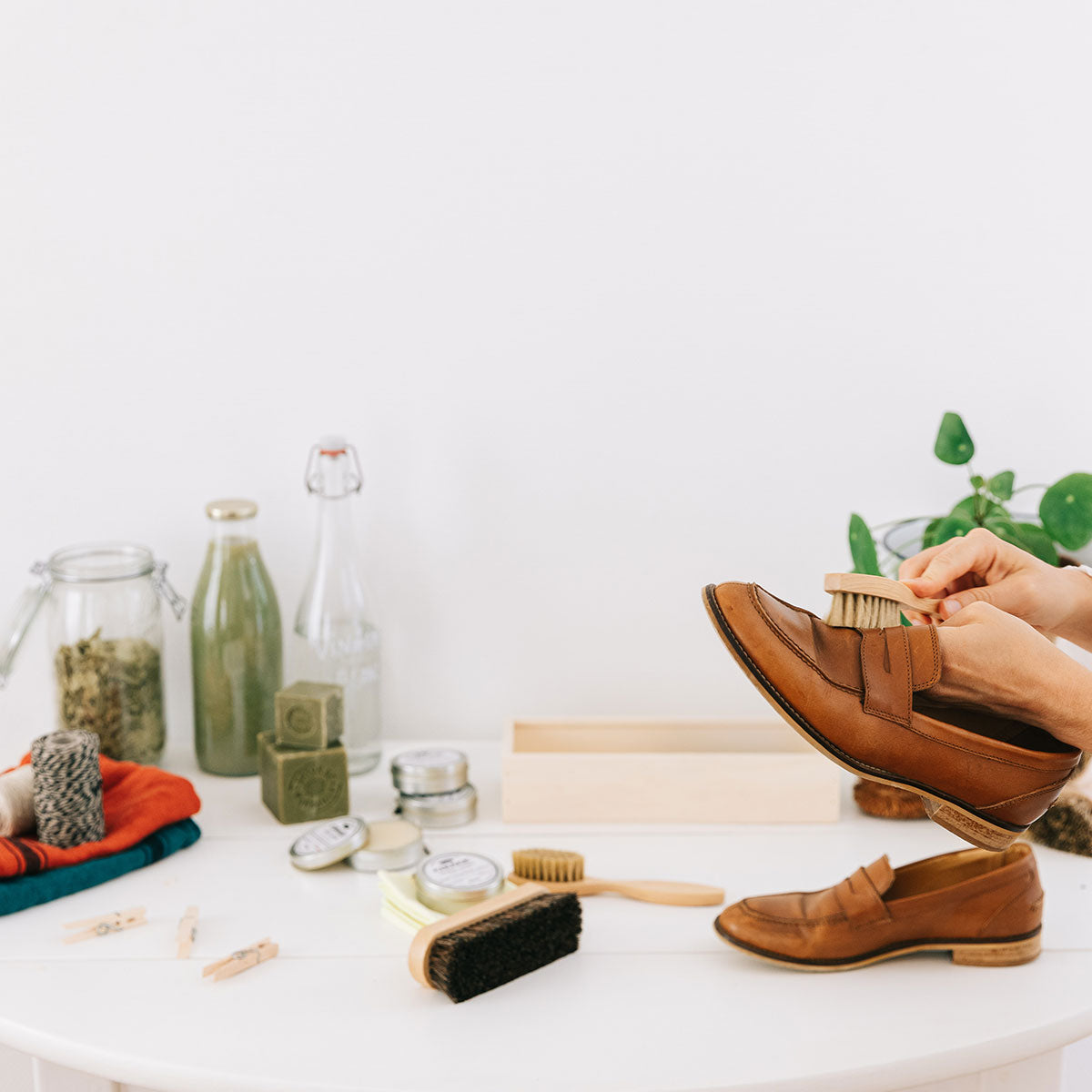 Schuhputzset